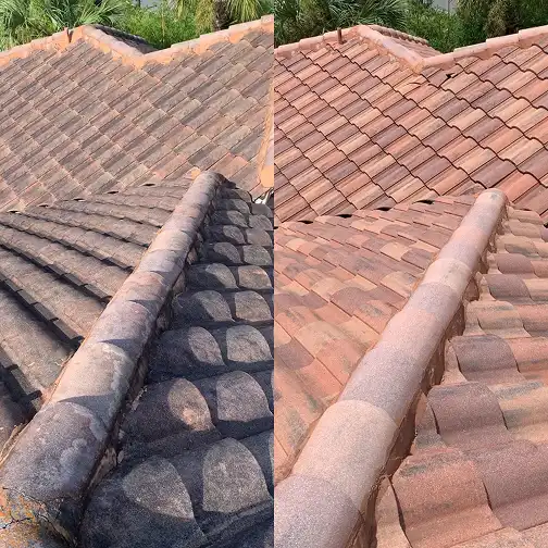 Roof Cleaning